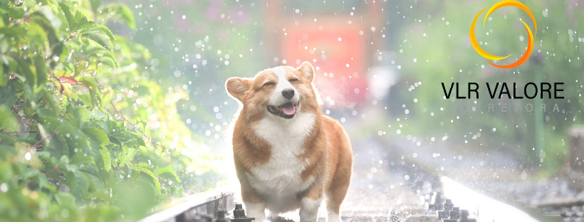 Design sem nome (32).png