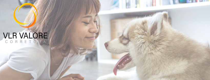 Design sem nome (31).png